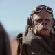 Illustration for article titled Nick Nolte voices this little dude in the new iMandalorian/i teaser